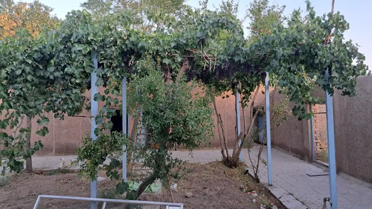 فروش منزل ویلایی