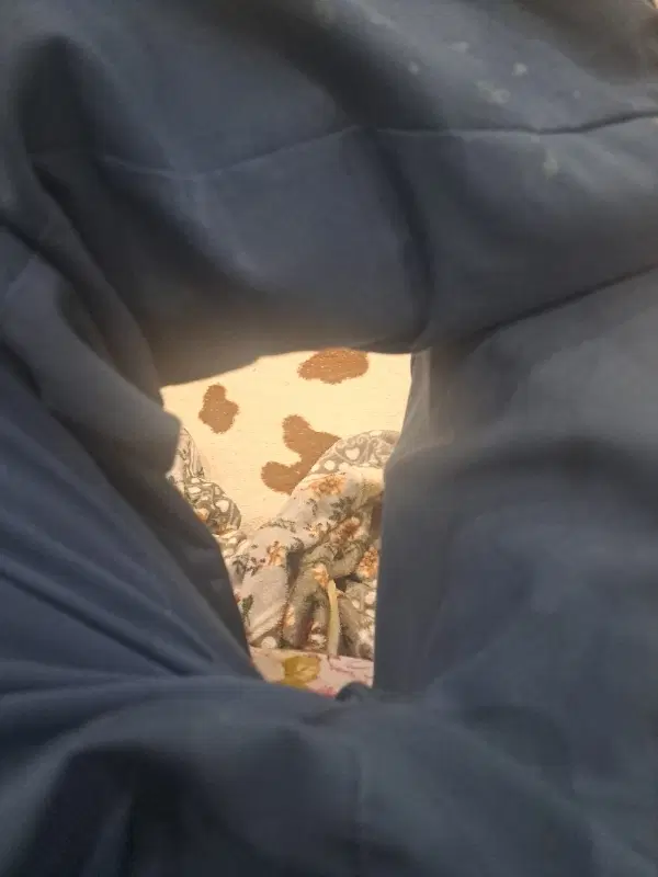 کارگاه