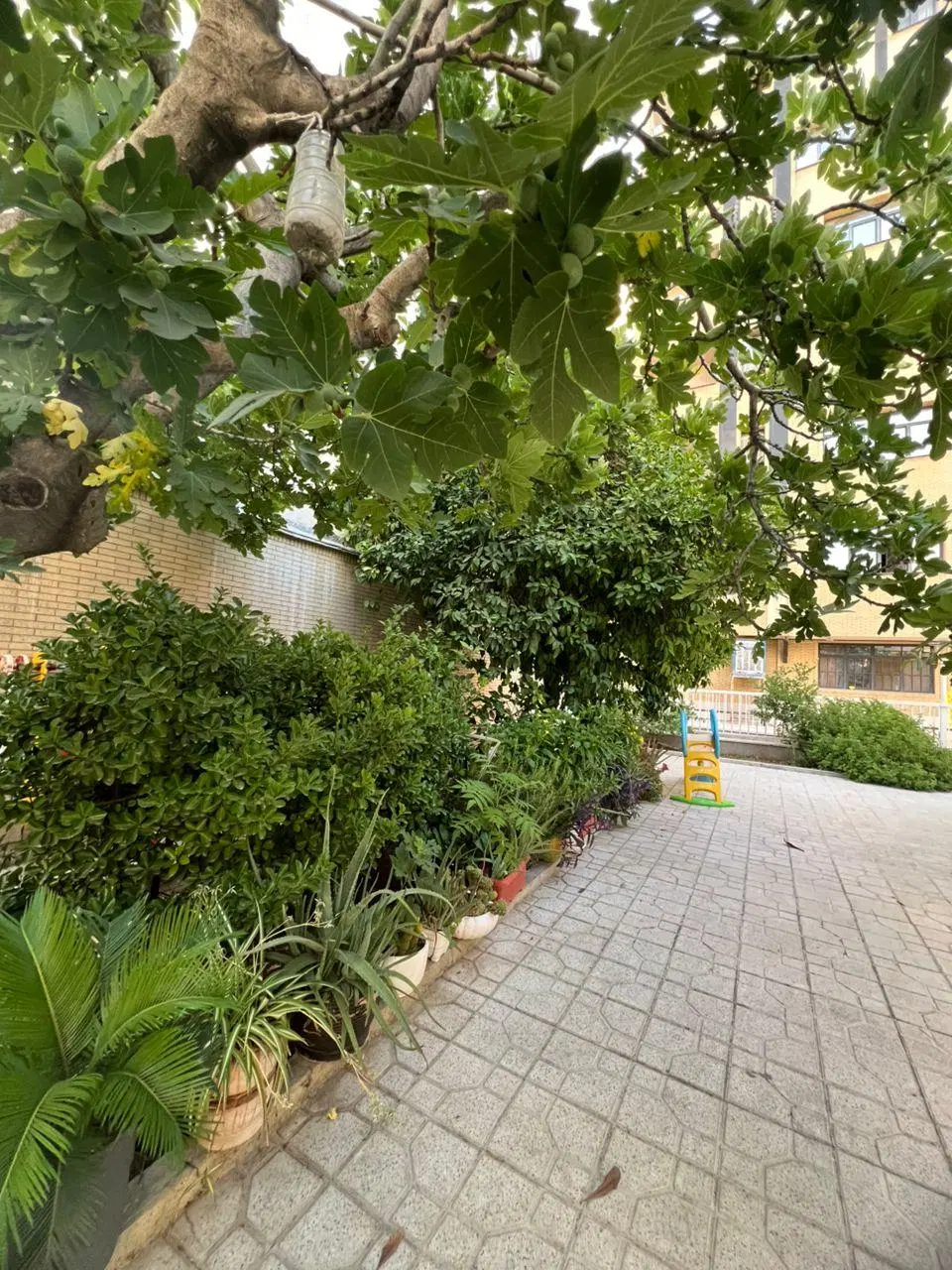 رهن و اجاره آپارتمان در آقایی