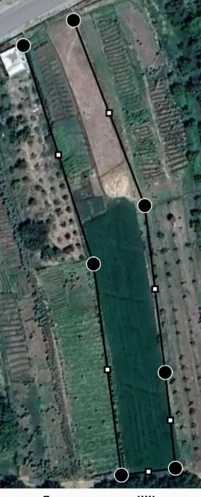 زمین