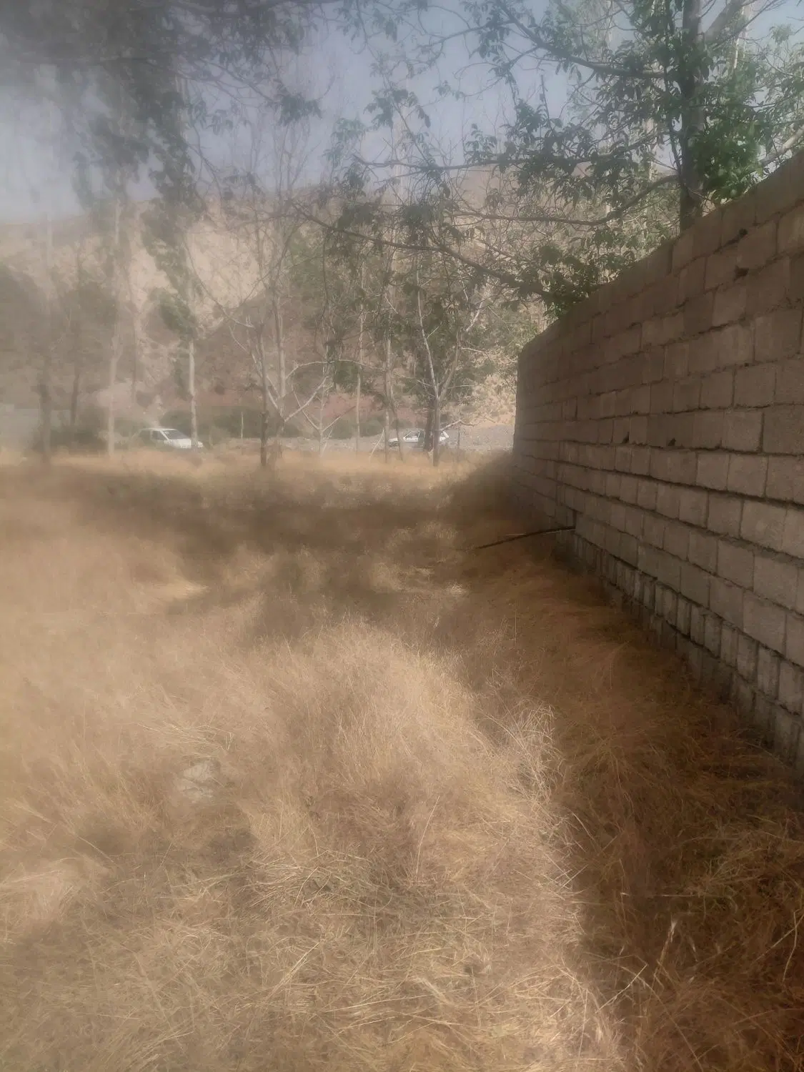 باغ فروشی دهبکری لب رودخانه