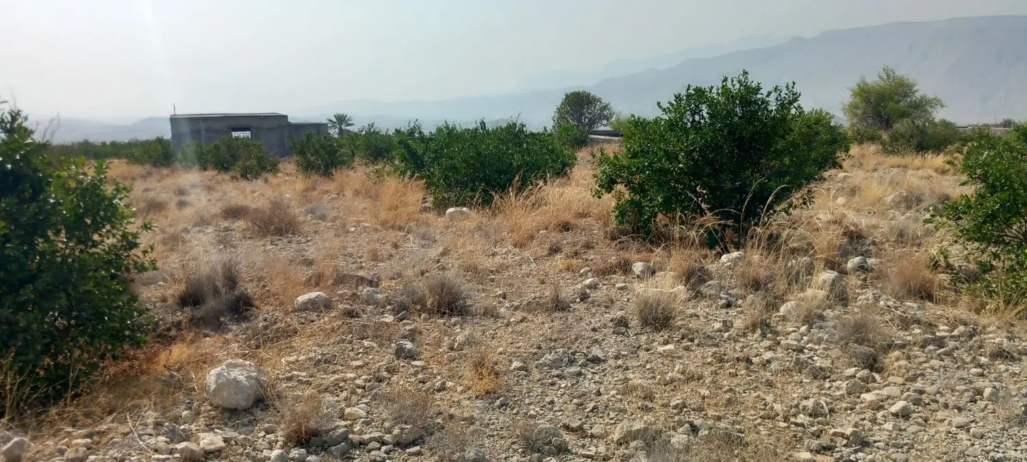 باغ روستای سغ