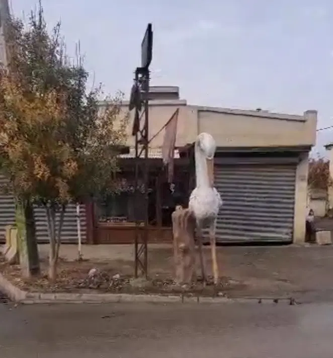 ۷۰۰ متر زمین وخانه کلنگی، سه‌نبش، بر خیابان اصلی»