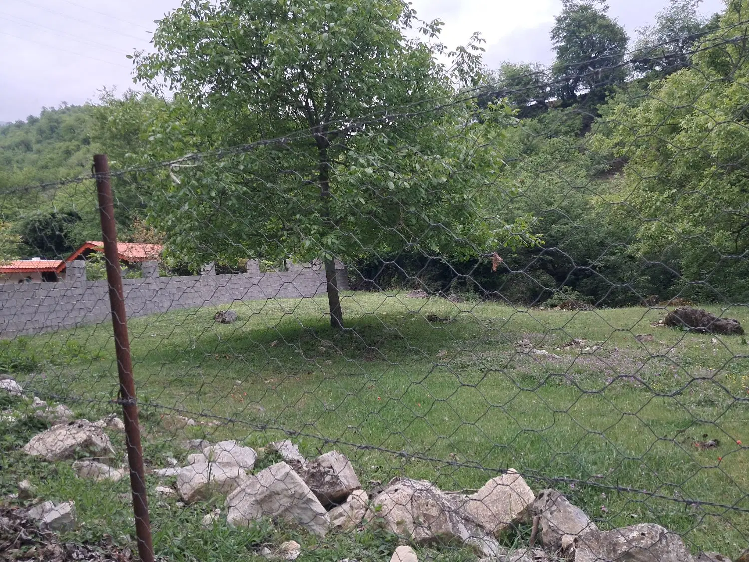 چند قطعه (ملک) زمین ییلاقی  با متراژ ۳۰۰ متری