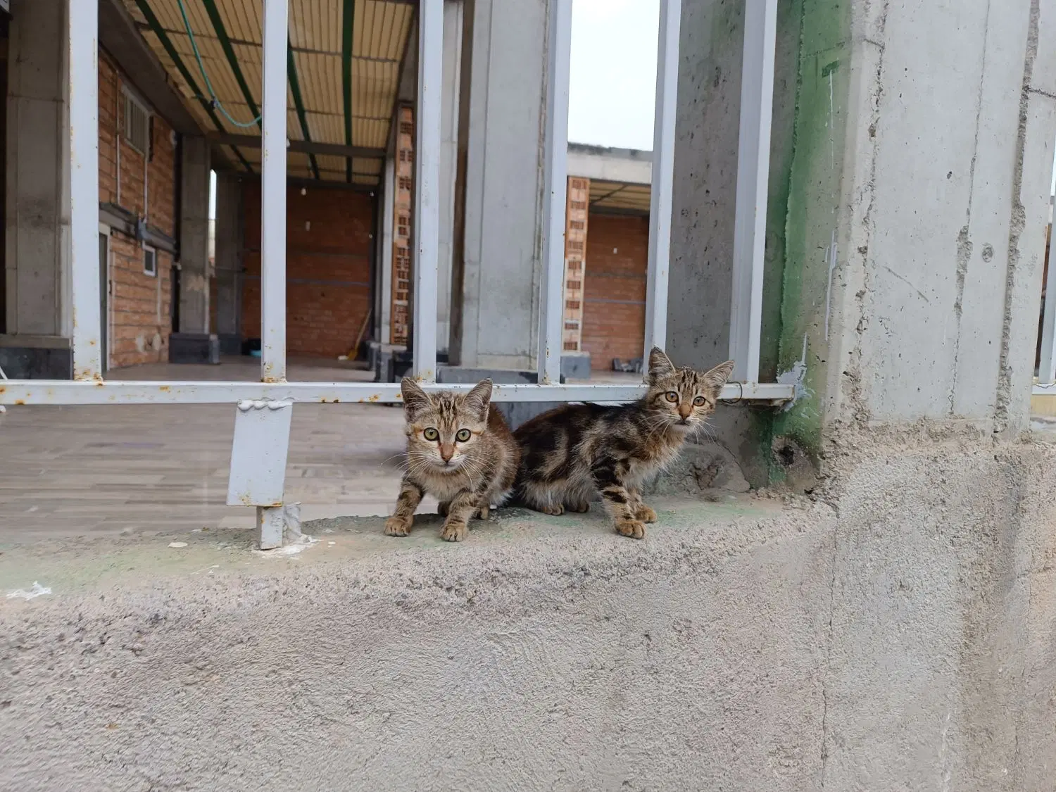 خانه کلنگی تجاری