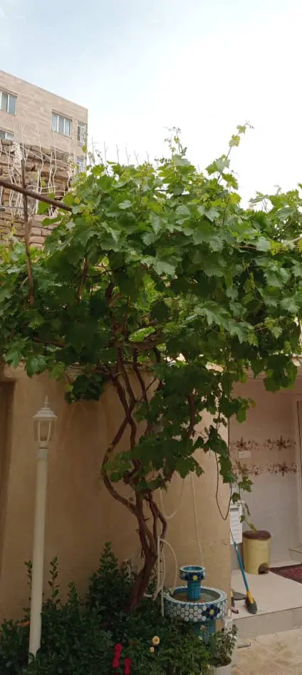 خانه ویلایی