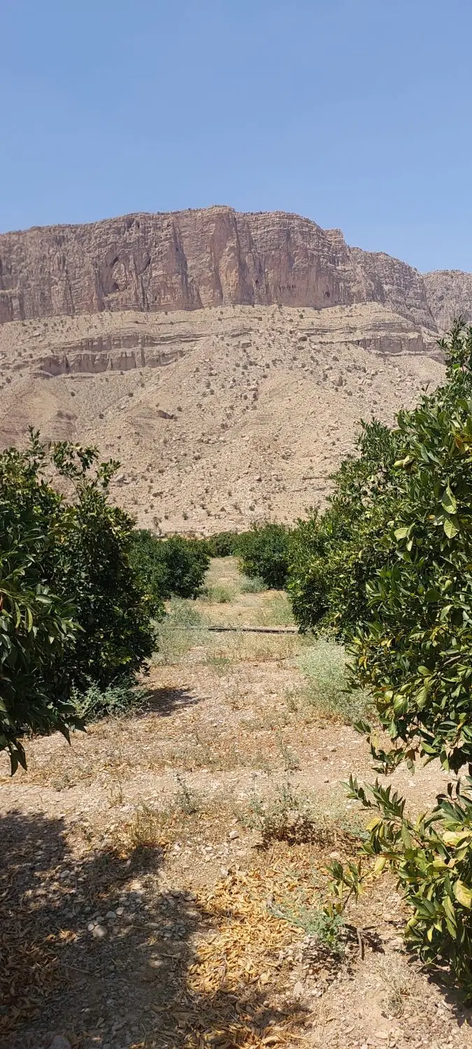 فروش باغ ۳۵۰۰ متری