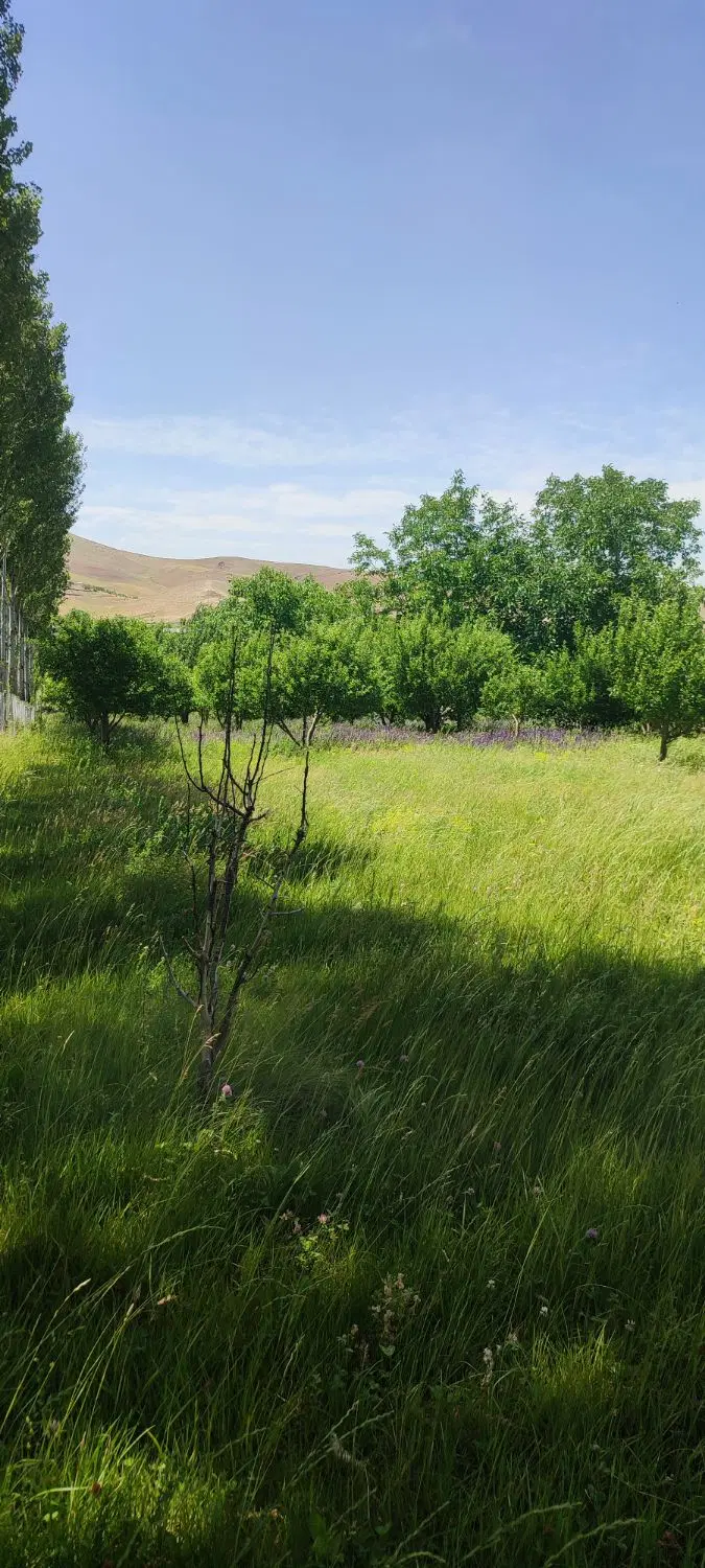 فروش باغ حسن ابدال