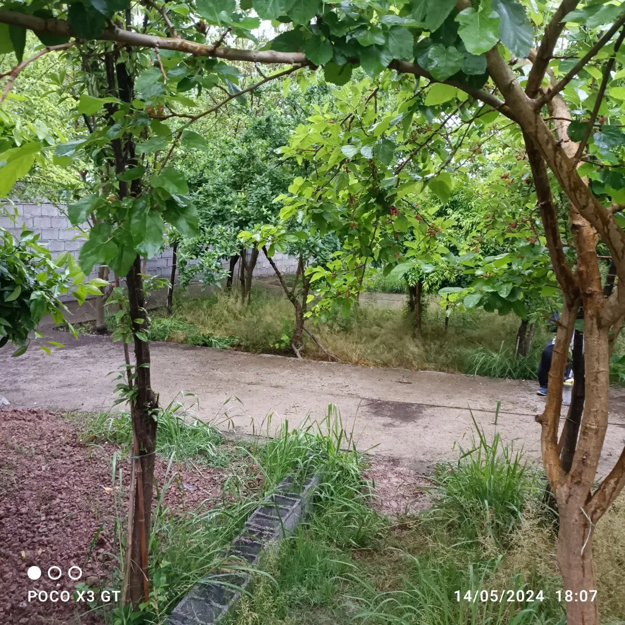 باغچه سند دار