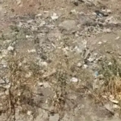 زمین مسکونی تلوری فروش فوری
