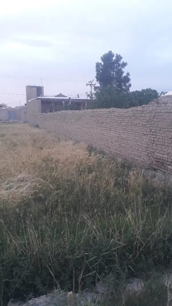 اجاره سویت