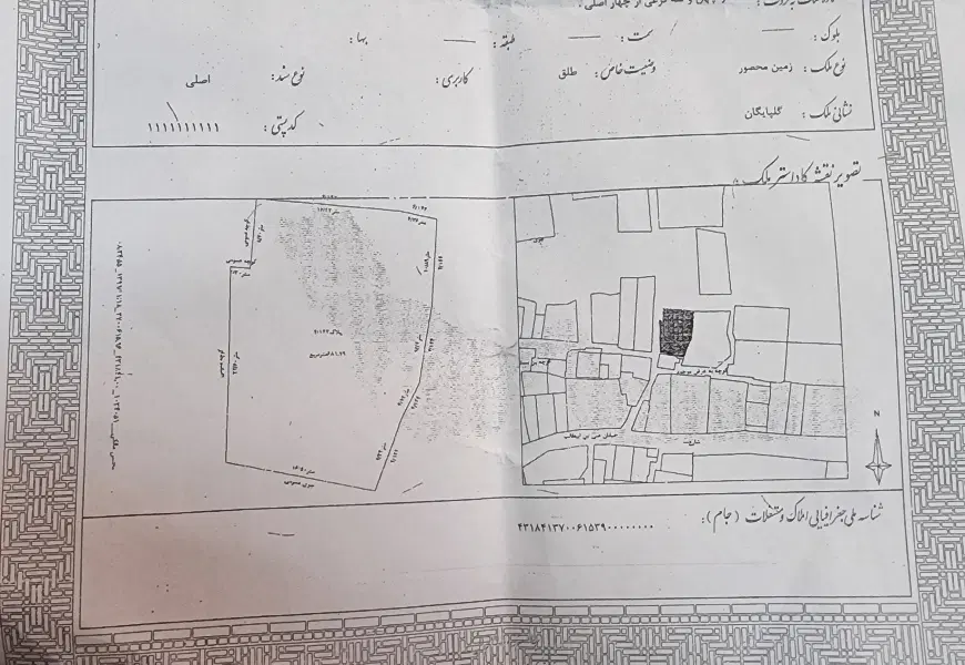 باغ مو و درخت میوه