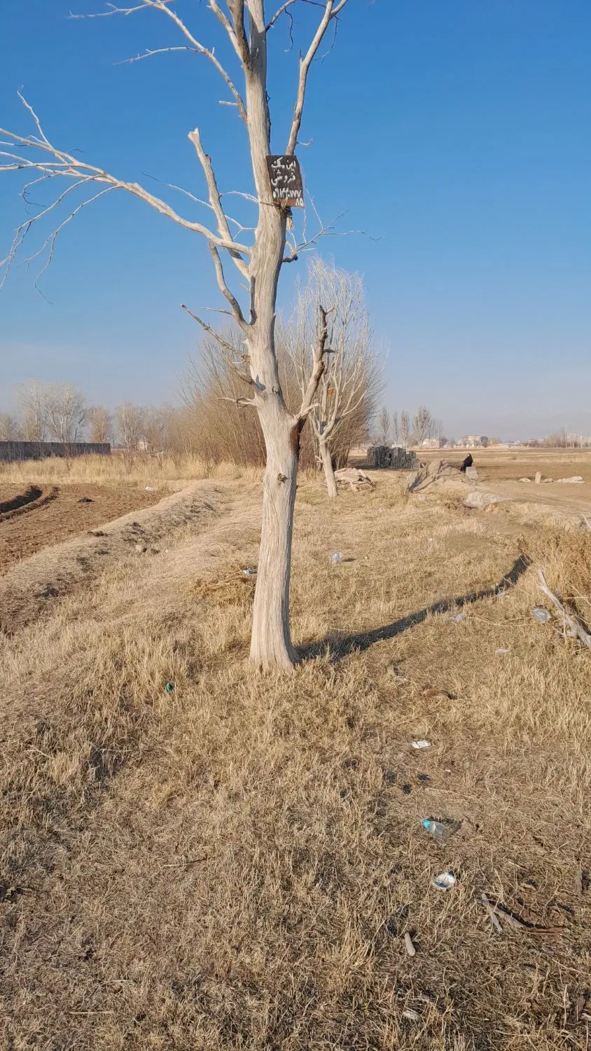 زمین زراعی  در شهر کلوانق
