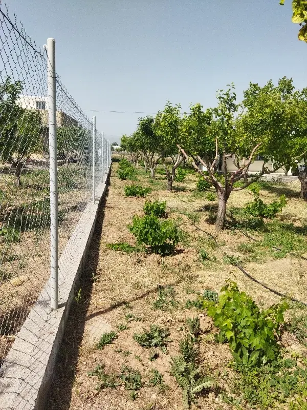 باغ شهر در نزدیکی شهر