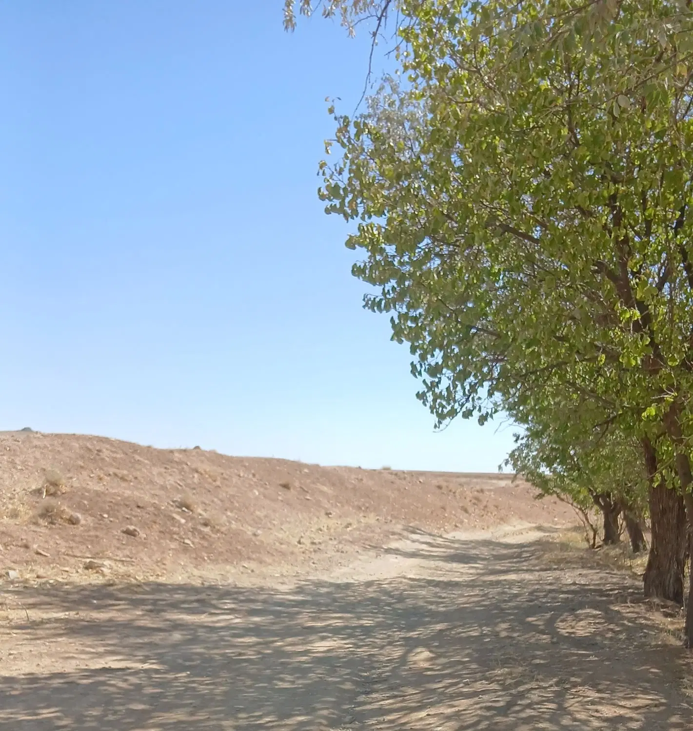زمین کشاورزی 500هکتار استان مرکزی