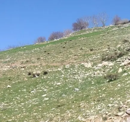 زمین پاگر