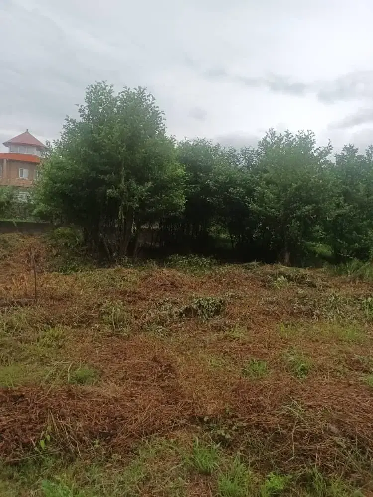 زمین سنددار نخجیر لاهیجان