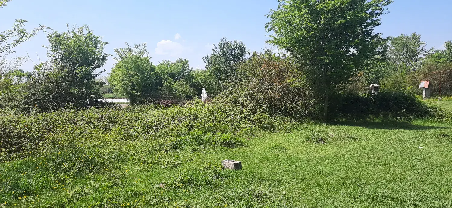 حراج ۴ و نیم هکتار زمین در شفت فومن