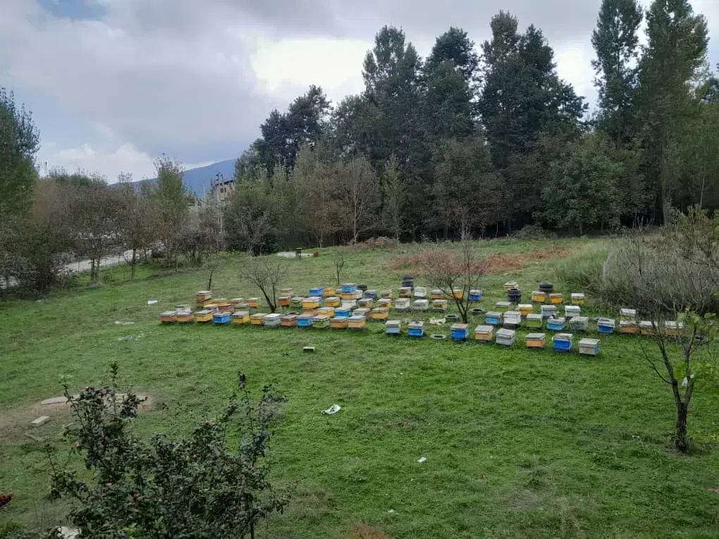 ویلا دو خواب کد 355