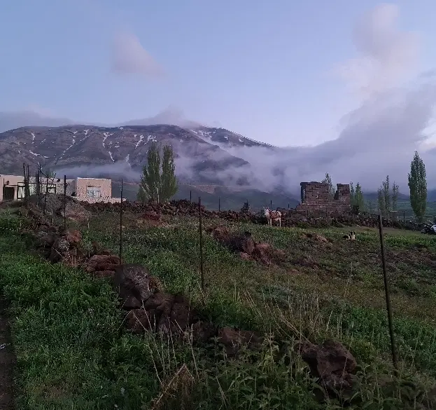 ۳۰۰ متر زمین ییلاقی پلور