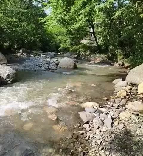 450متر باغی داخل بافت کنار رودخانه سیاهمزگی زیبا