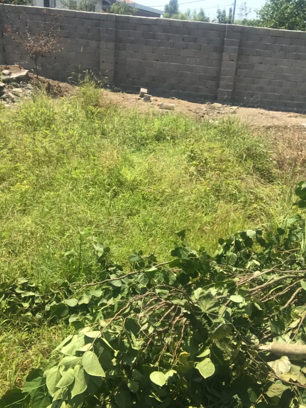 فروش زمین