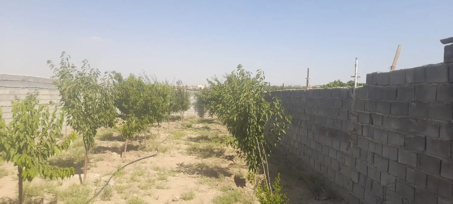 باغ ۴دیواری درچشمه قصابان