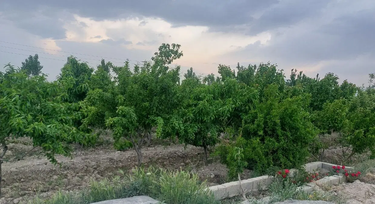 باغ ۵۰۰ متری اسکمان شهریار