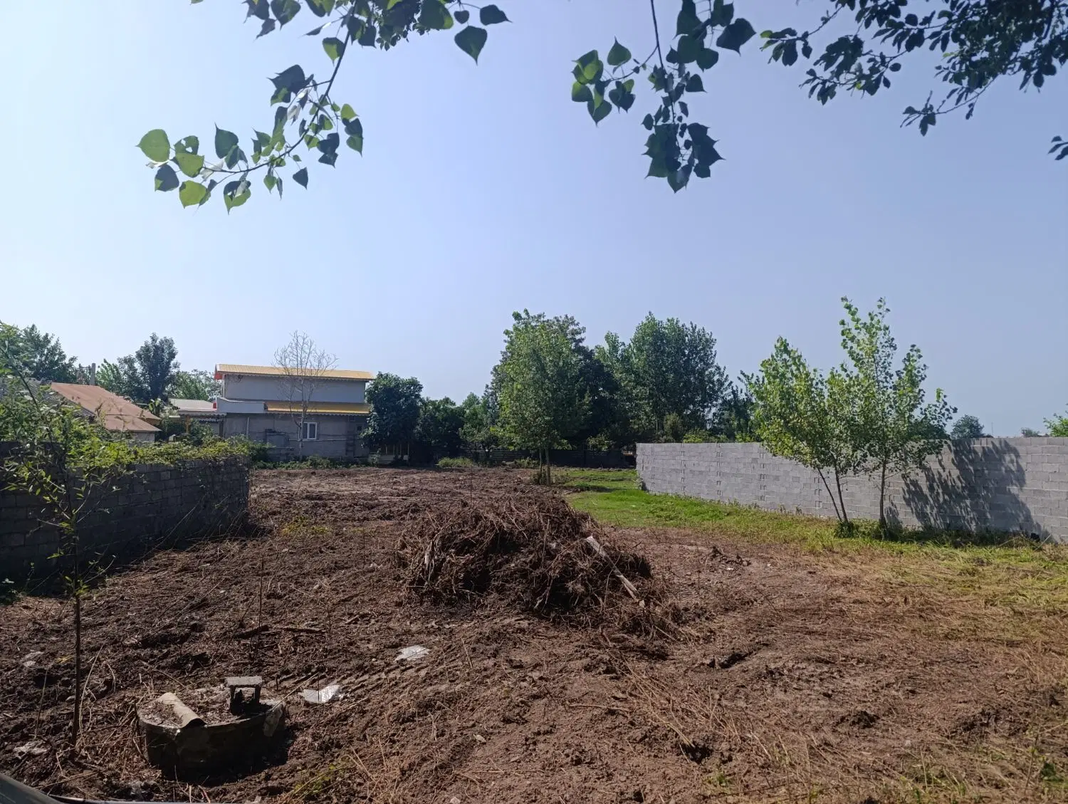 ۸۵۰متر زمین باغی واقع در دارسازی