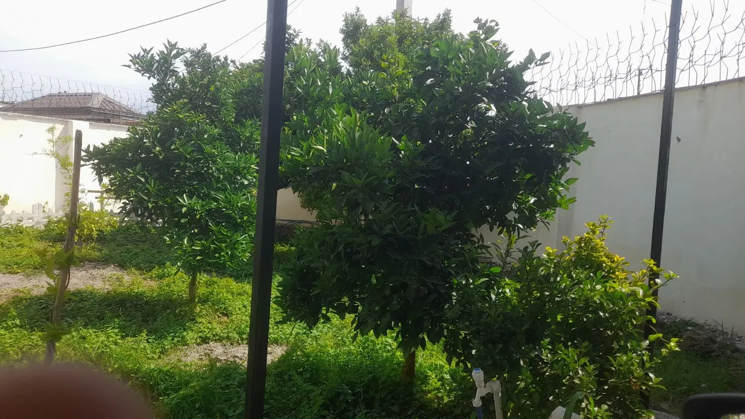 ۸۵۰ متر باغچه بابنای ۸۰ متری درشهریار