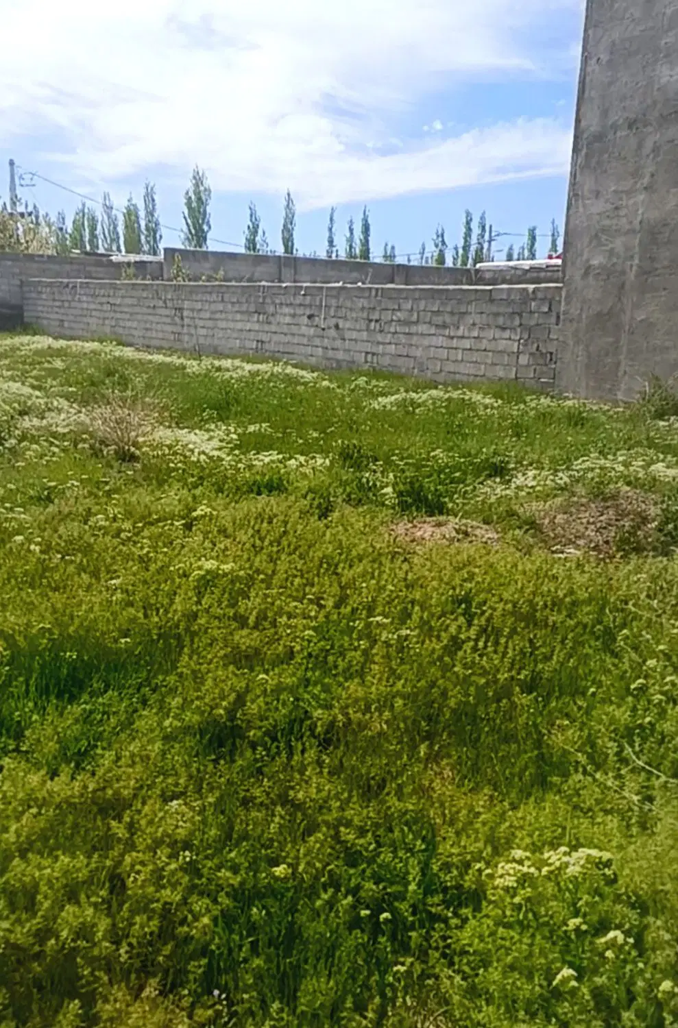 زمین ۶۰۰ متری محله ی سرچشمه ینگی اسپیران