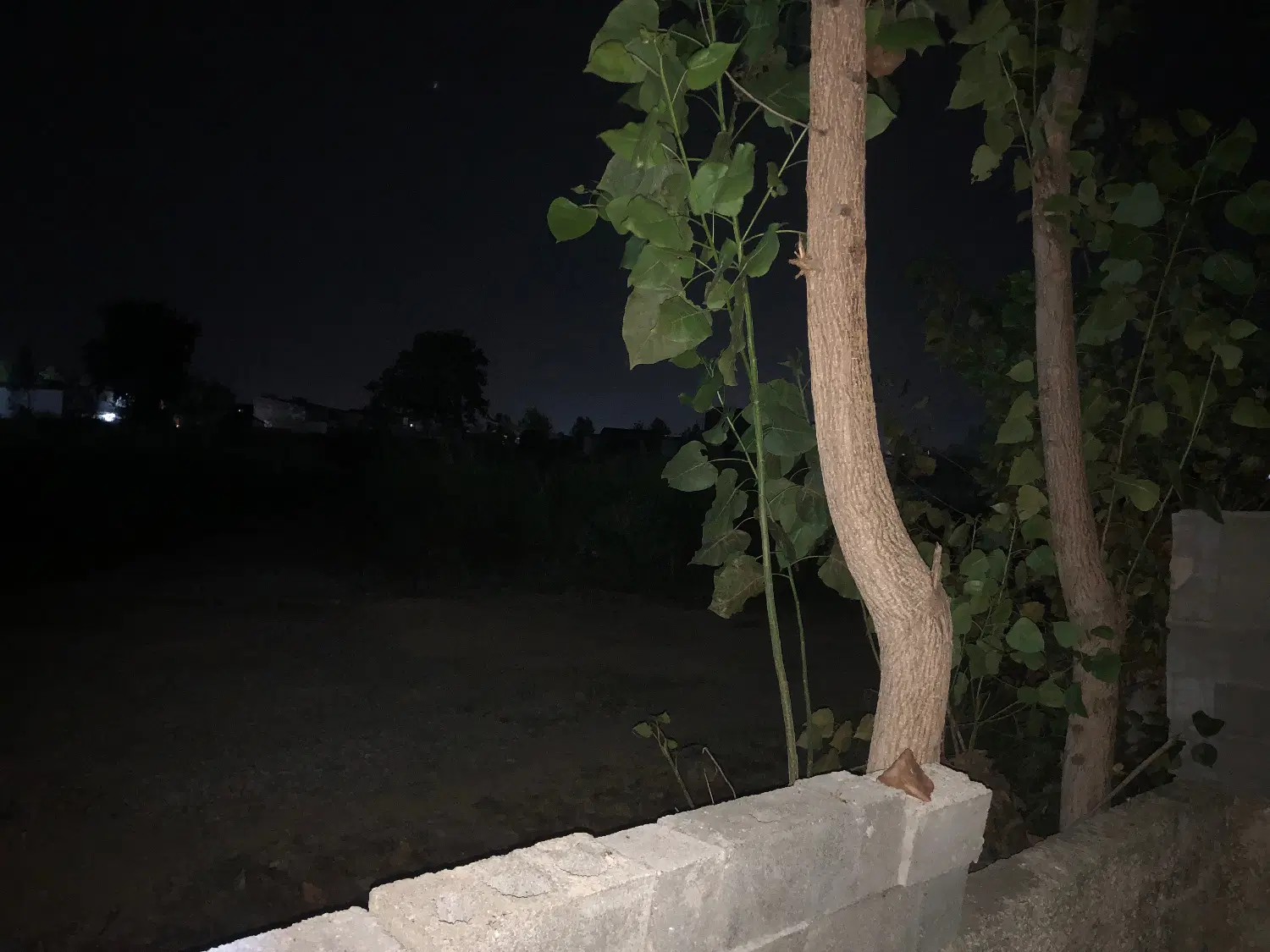 فروش دو قطعه زمین قابل ساخت