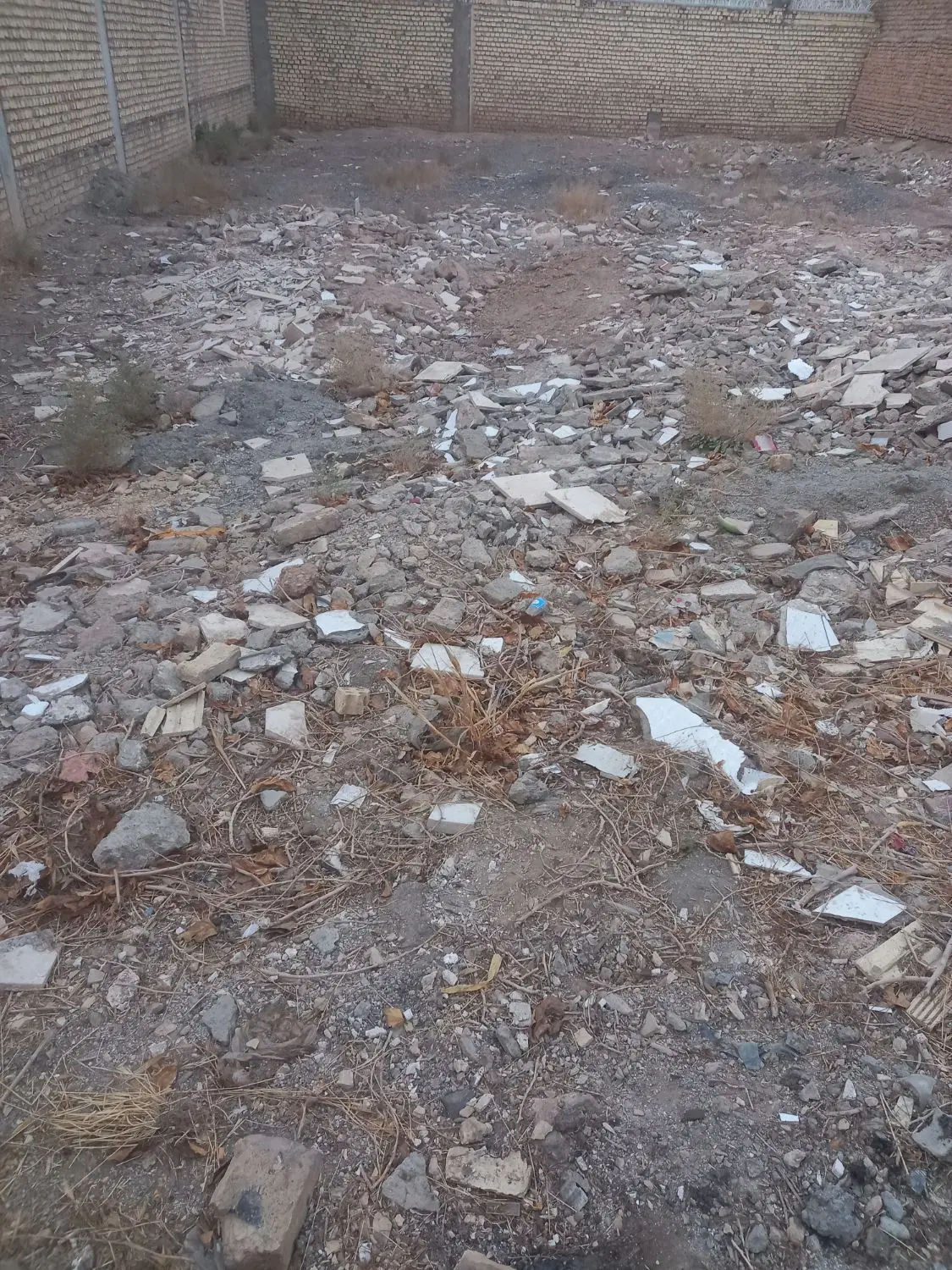 زمین ارغوانی ۲۲۲متر