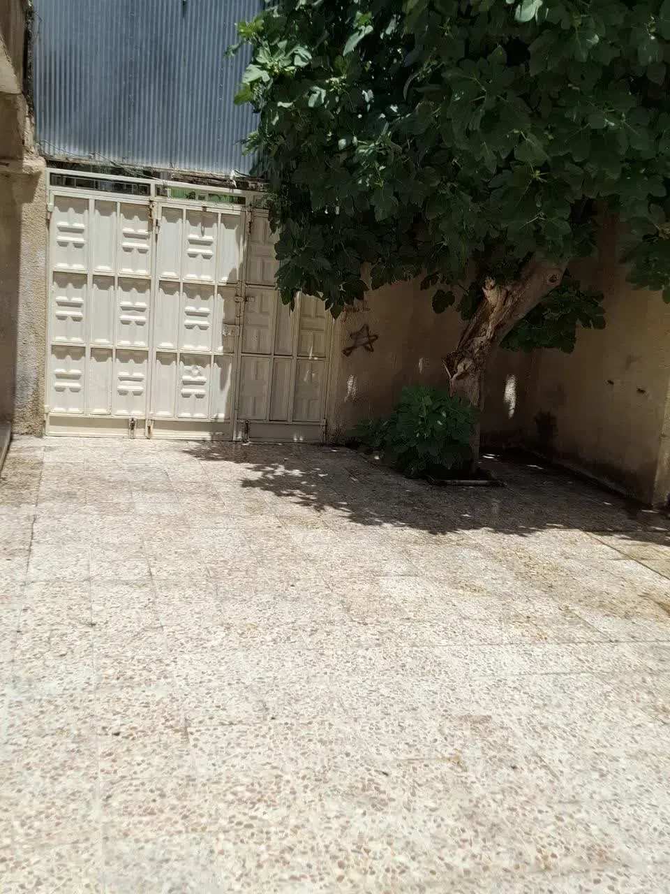 اجاره ویلایی،  یاسمن 6