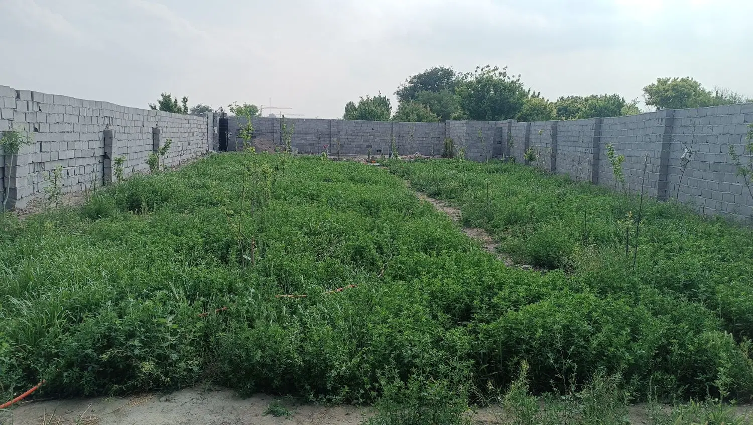 باغ فروشی معاوضه