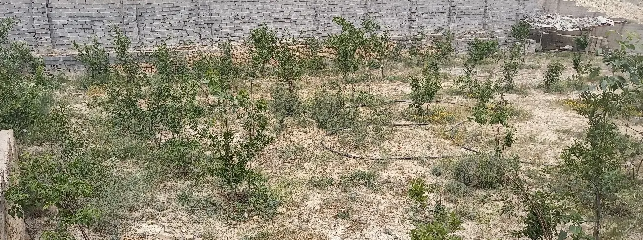 زمین با (اعیان) در کرشت