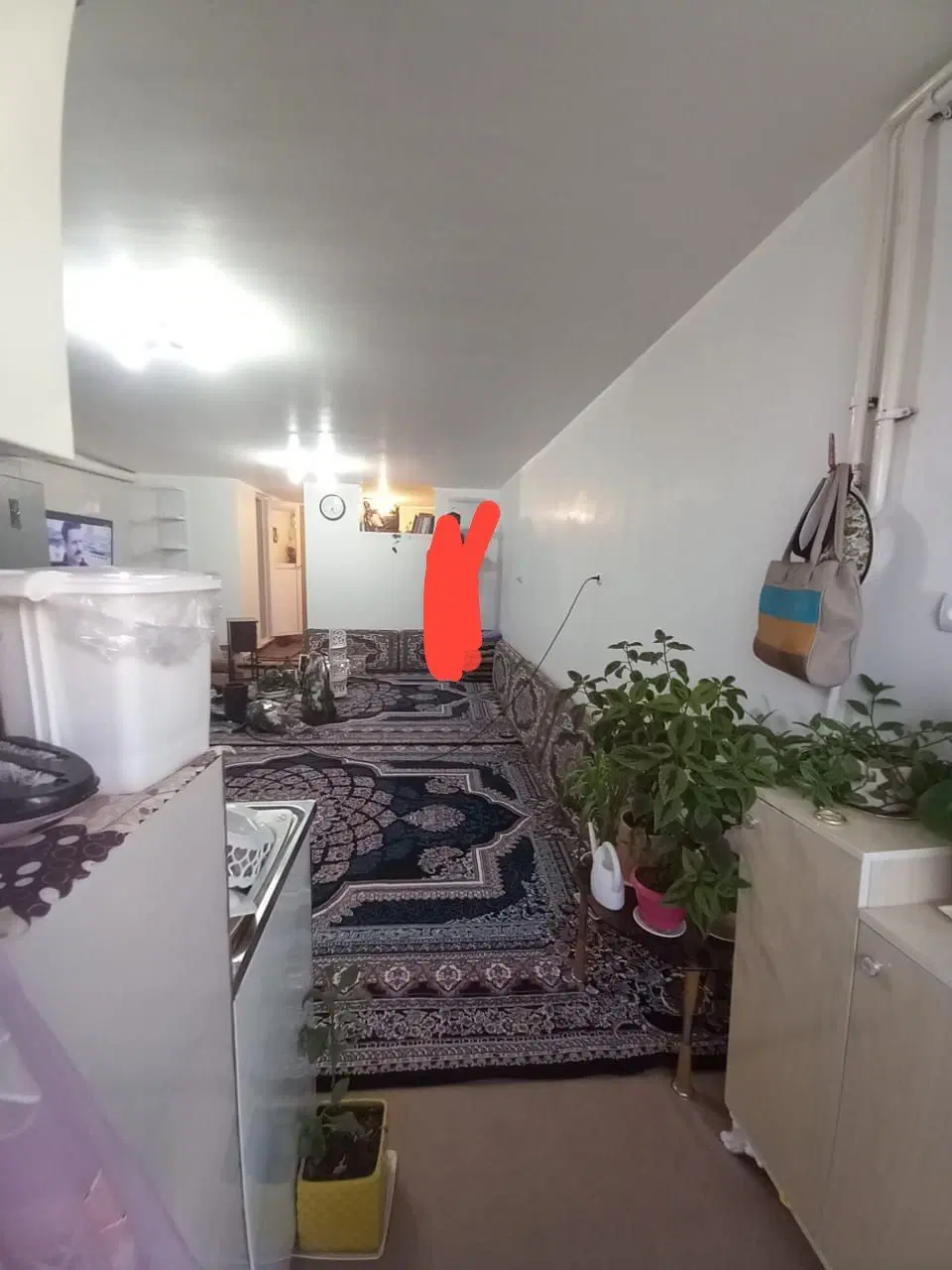 سویت  اجاره