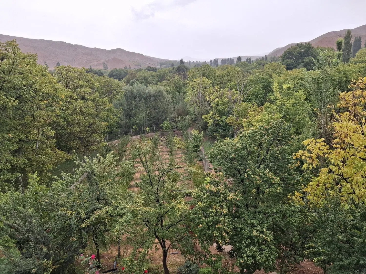 ویلای فول‌امکانات، معاوضه با خودرو خارجی