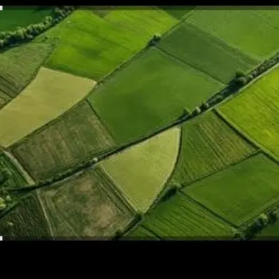 زمین