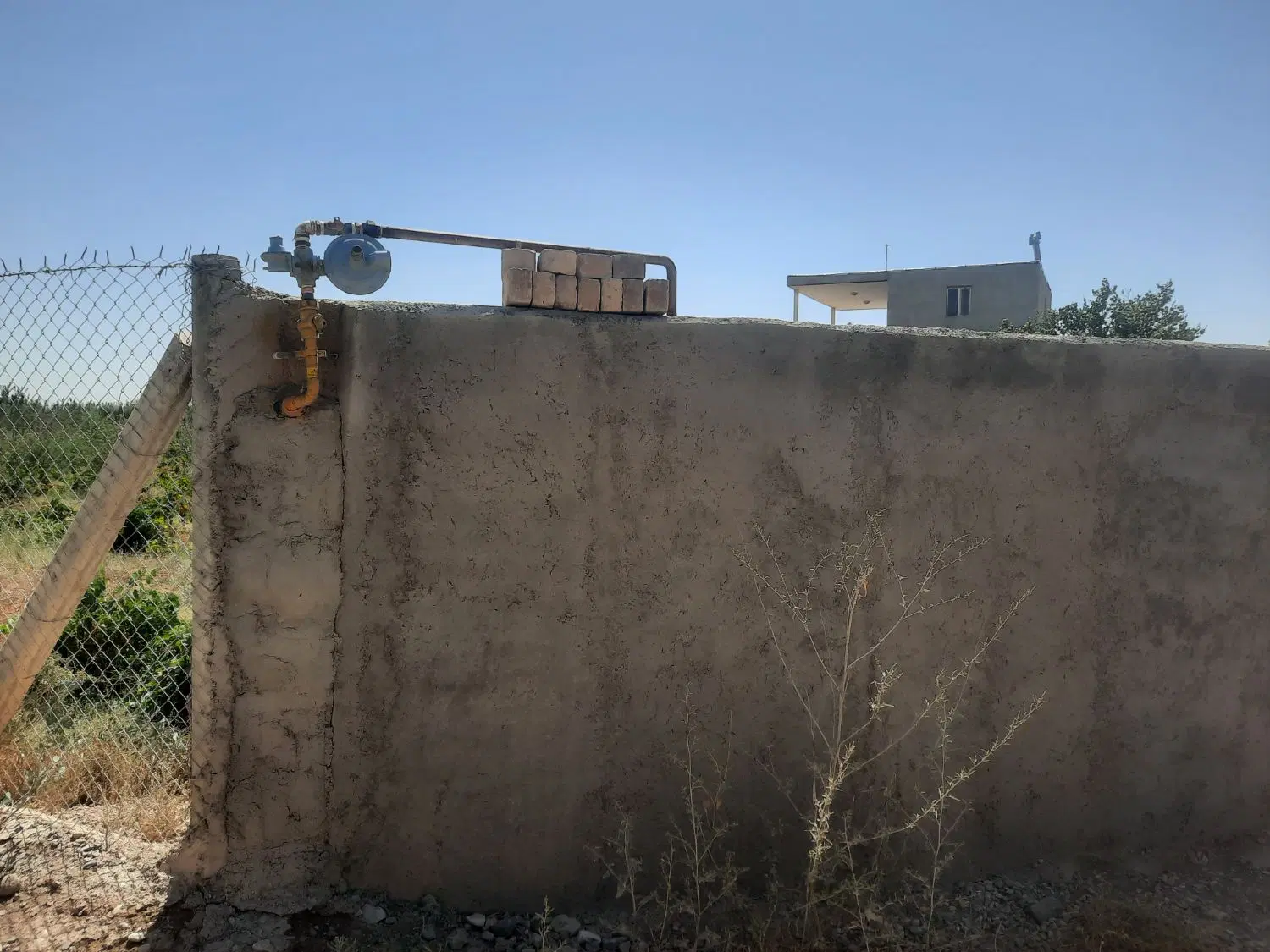 زمین کشاورزی