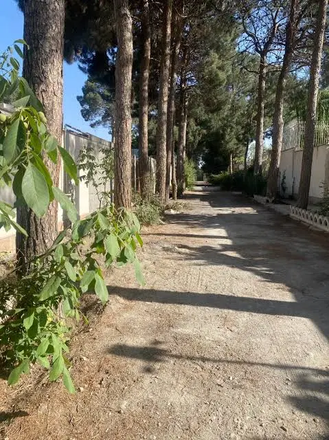 باغچه
