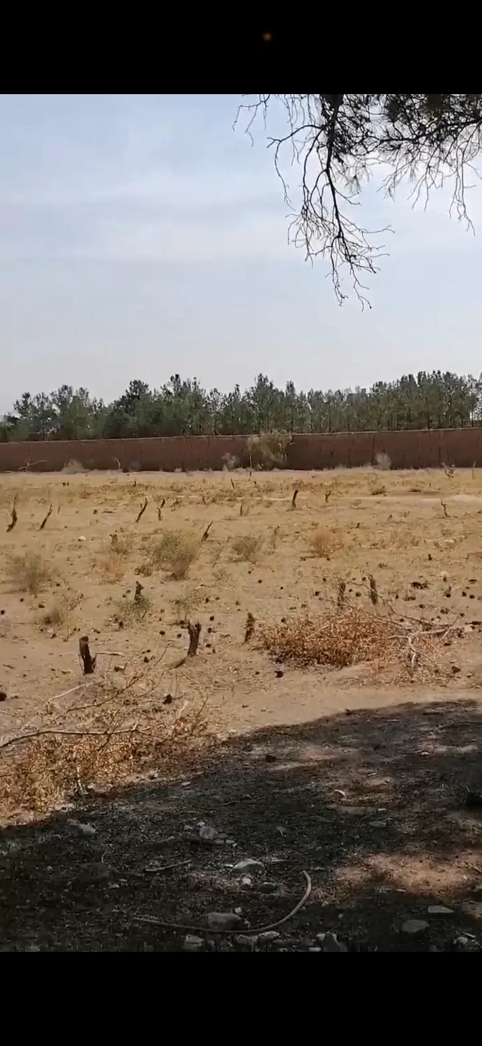 زمین فروشی امام حسن خوش قیمت