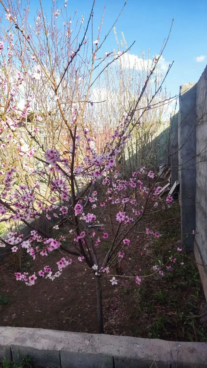 خونه باغ دهکده