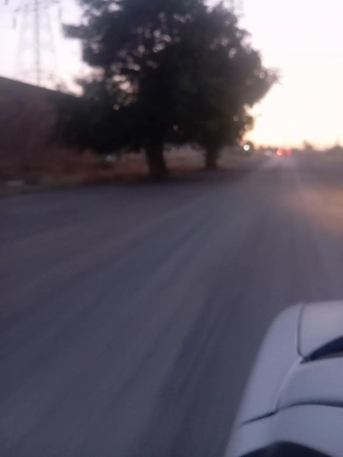 باغ دور دیوار شاهنامه 35سند تک برگ ملکی( شعبانی)