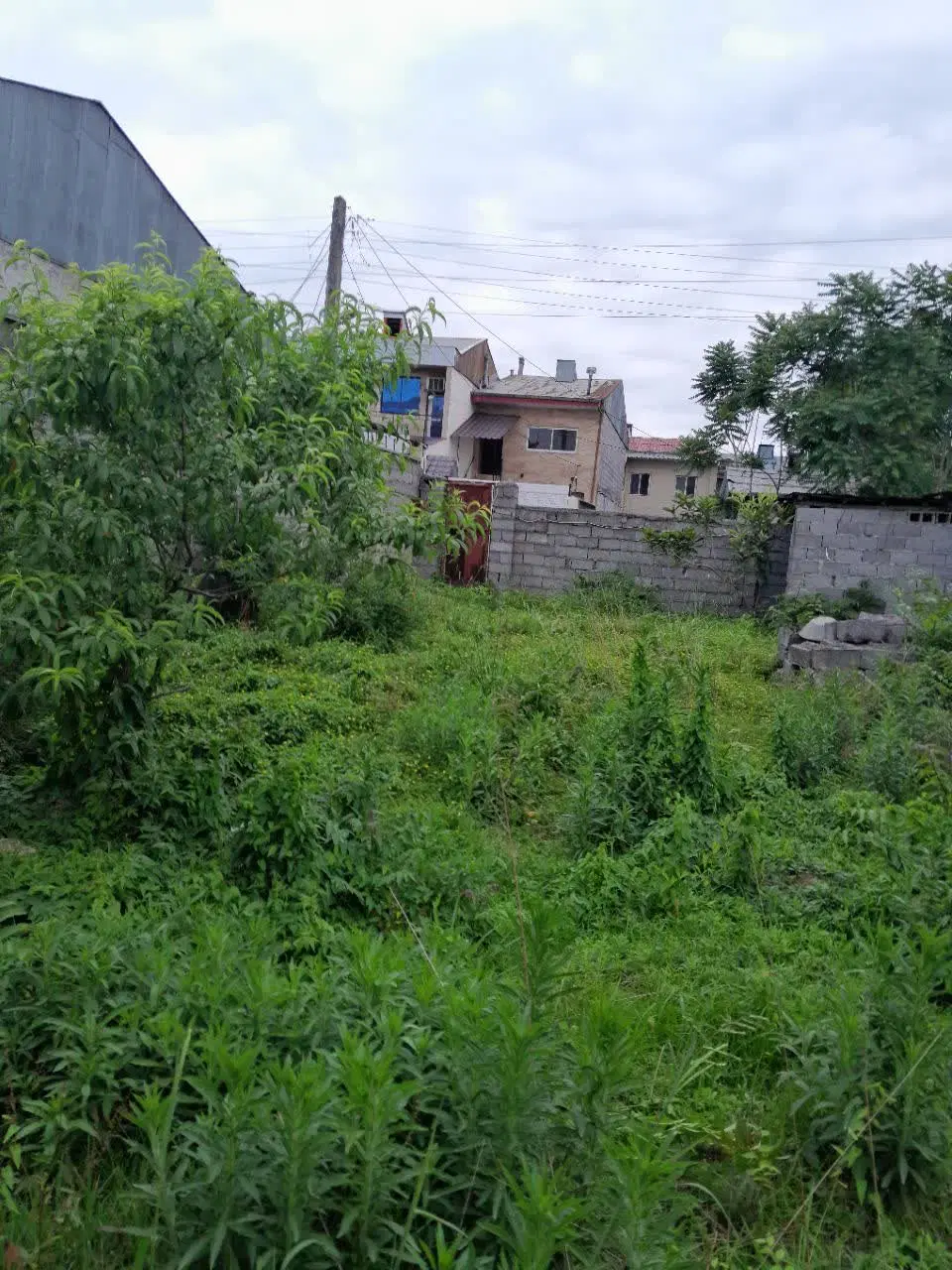 زمین مسکونی با سند تک برگ