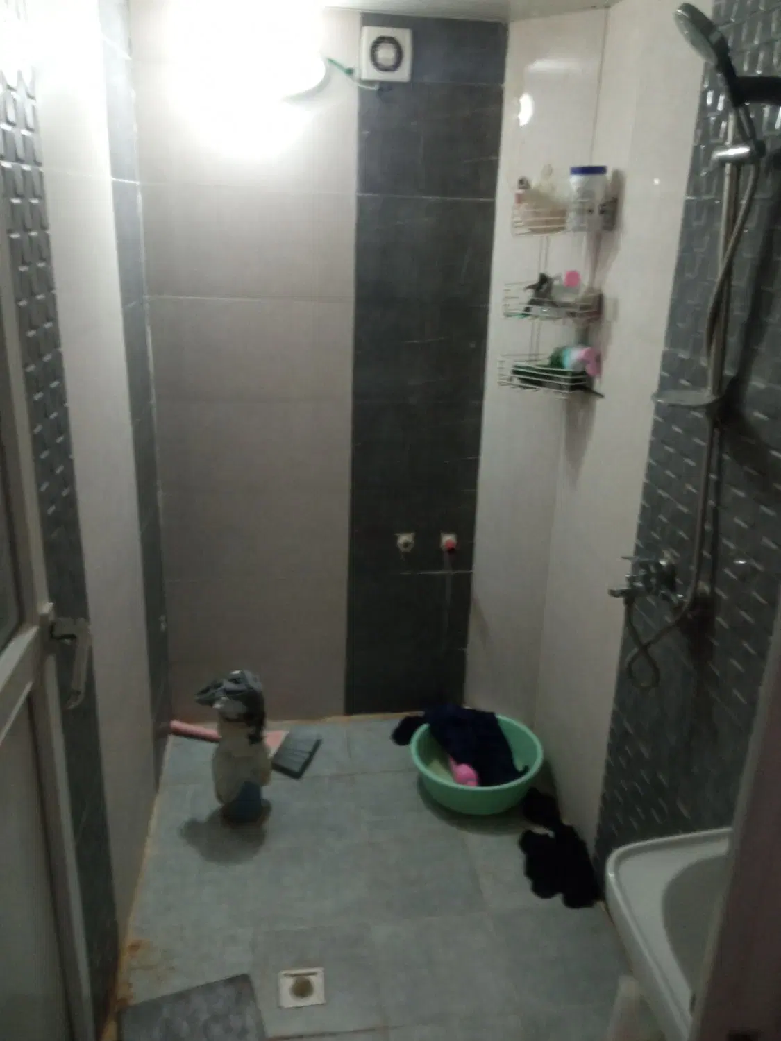 ملک اجاره
