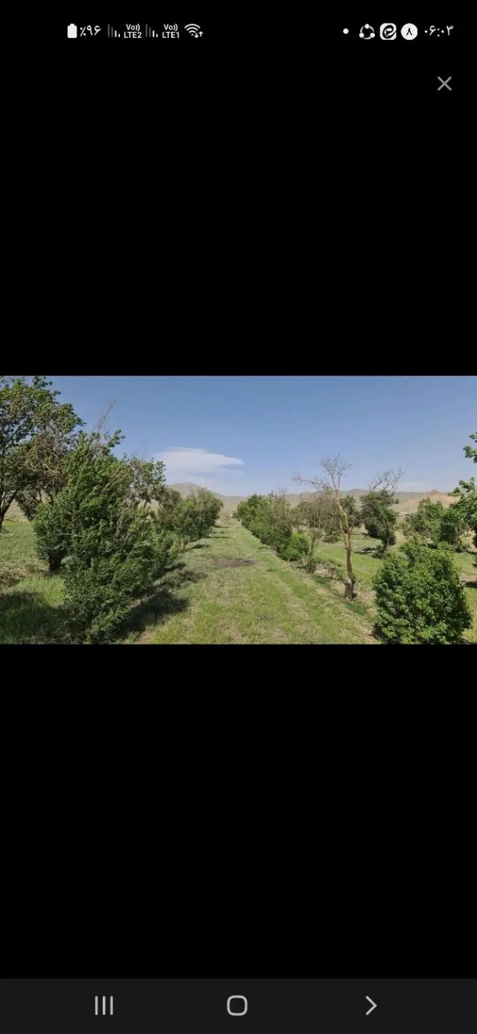 زمین مزروعی  دارای درخت گردو وبادام