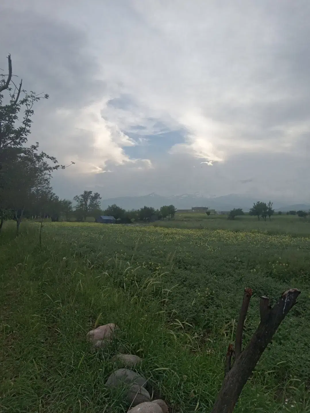 باغ در روستای باروق