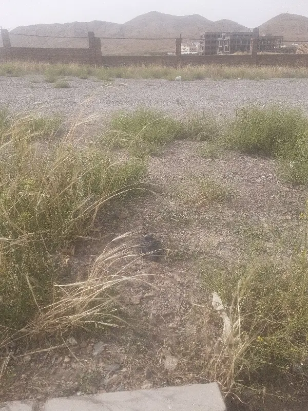 زمین‌مسکونی‌طرح‌هادی‌روستایی...