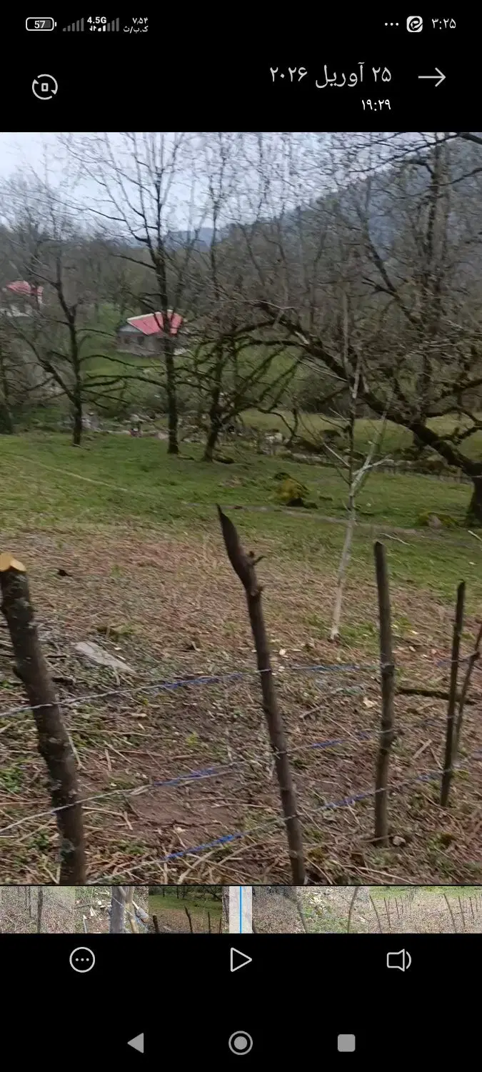 زمین در روستای لنزی